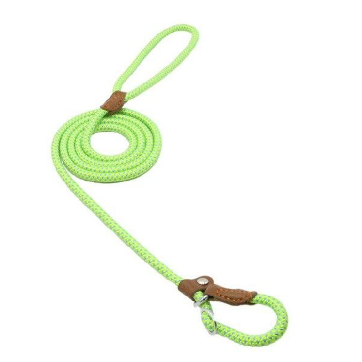 Ensemble pour Chien en Nylon – Collier, Laisse et Harnais Réglables, Résistants et Confortables