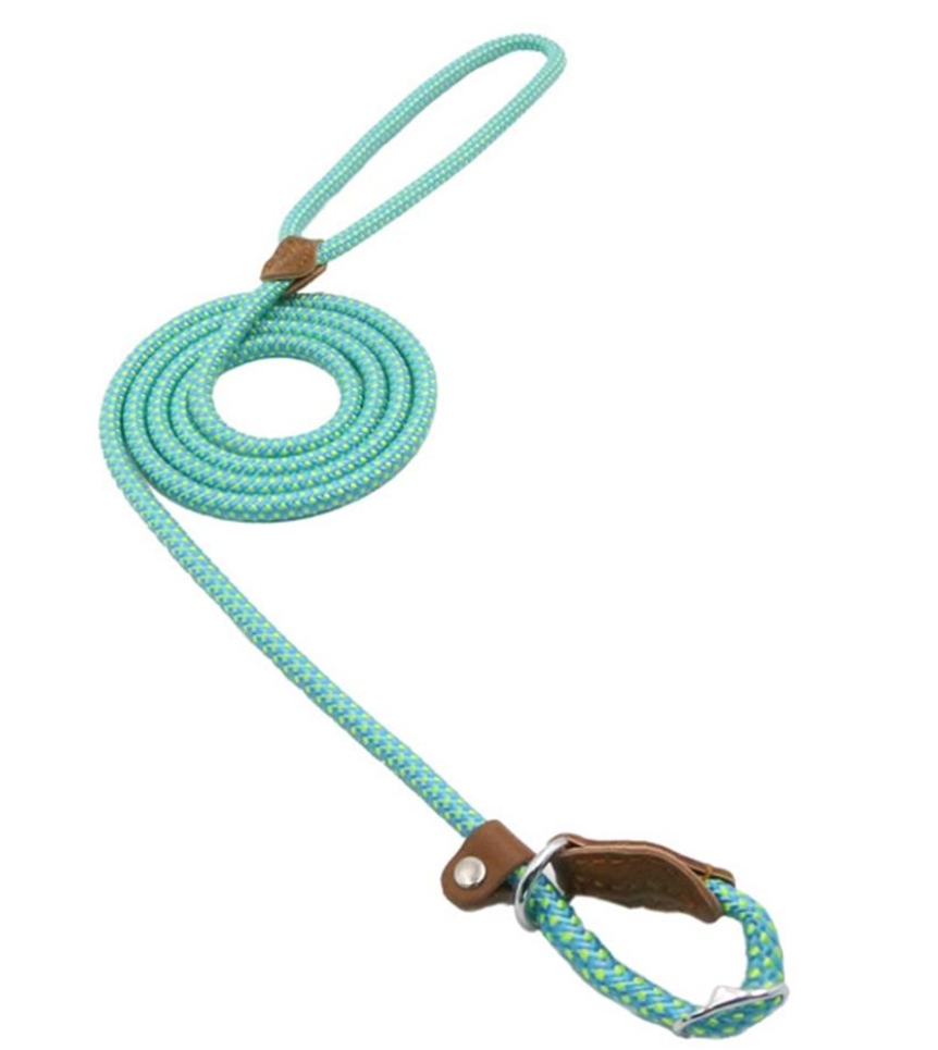 Ensemble pour Chien en Nylon – Collier, Laisse et Harnais Réglables, Résistants et Confortables