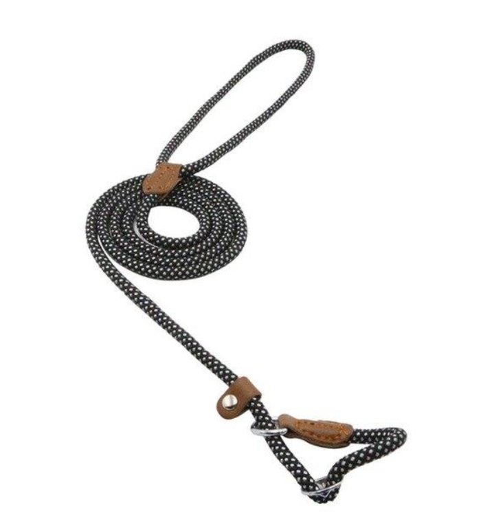 Ensemble pour Chien en Nylon – Collier, Laisse et Harnais Réglables, Résistants et Confortables