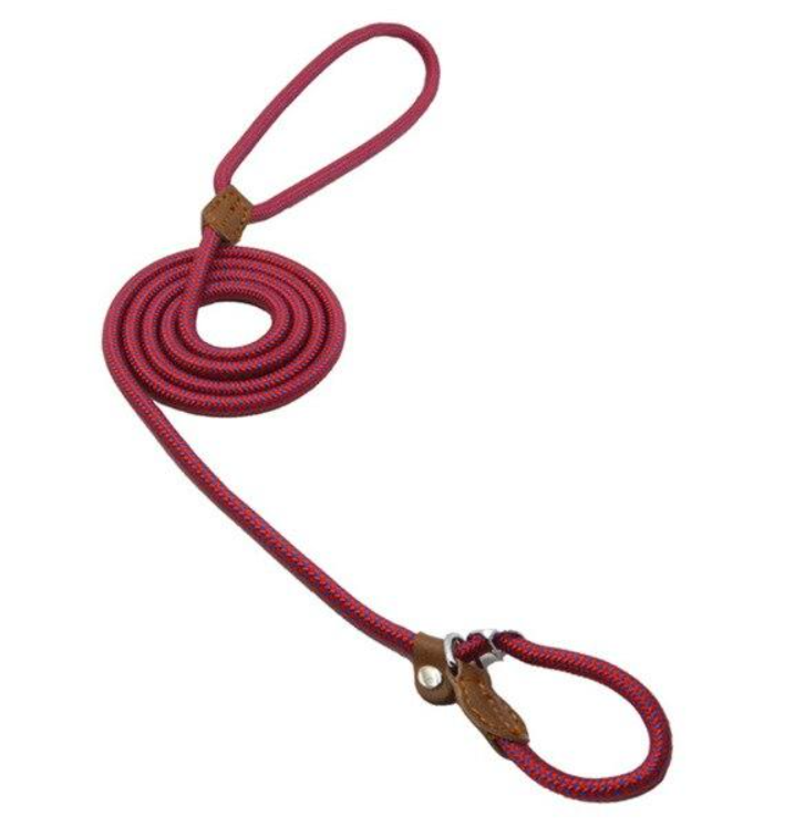 Ensemble pour Chien en Nylon – Collier, Laisse et Harnais Réglables, Résistants et Confortables
