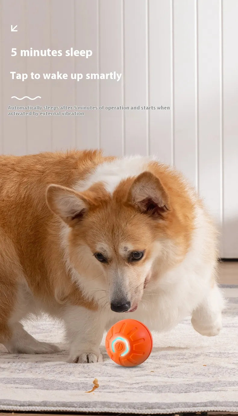 Balle Interactive Intelligente pour Chien – Jouet Automatique, Rechargeable et Résistant