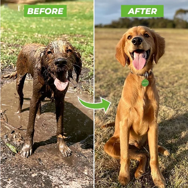 Pistolet de Douche Haute Pression pour Chien – Buse de Pulvérisation 3 Modes avec Réservoir à Savon, Outil de Lavage et Toilettage pour Animaux