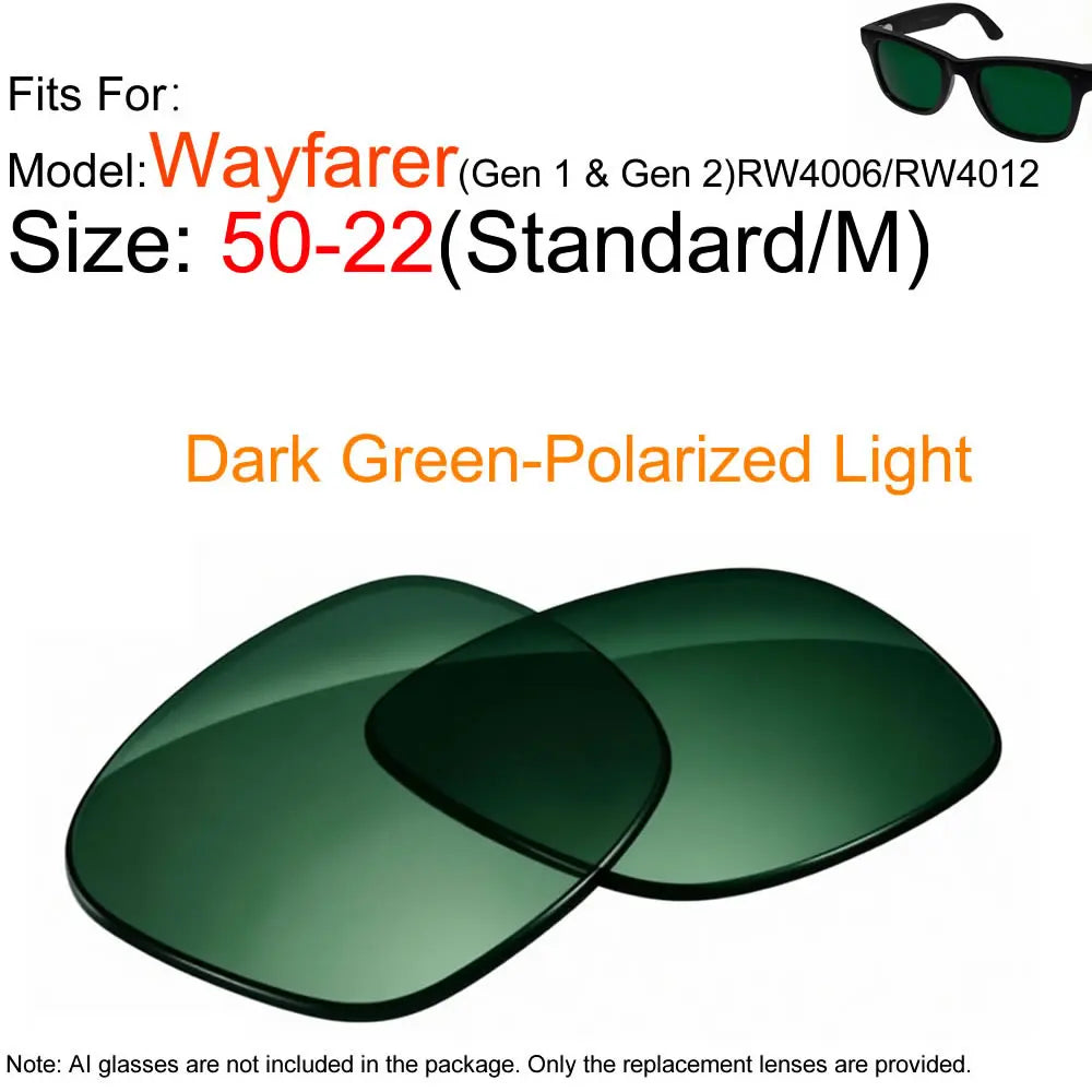 Lentilles de Remplacement Photochromiques Polarisées pour Ray-Ban Meta Wayfarer RW4006/RW4008/RW4012