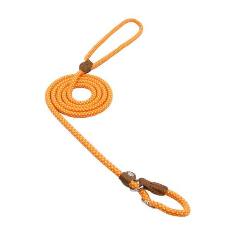 Ensemble pour Chien en Nylon – Collier, Laisse et Harnais Réglables, Résistants et Confortables