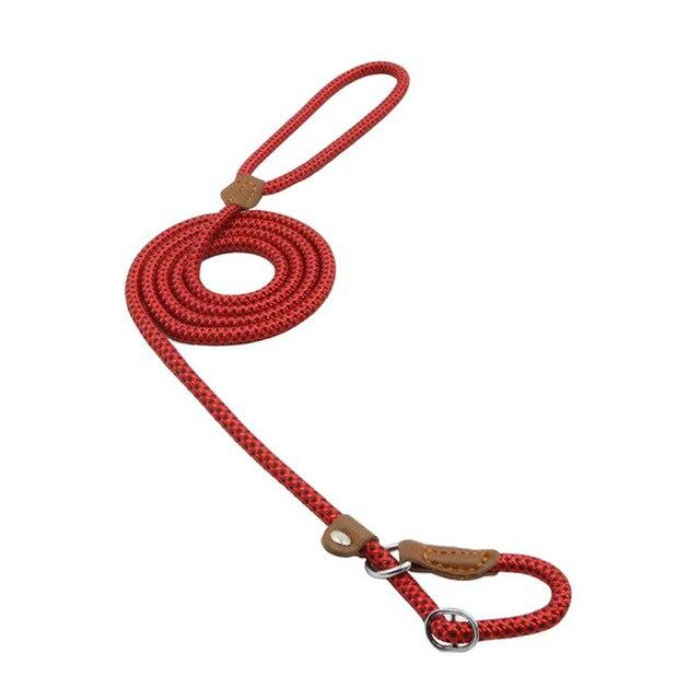 Ensemble pour Chien en Nylon – Collier, Laisse et Harnais Réglables, Résistants et Confortables